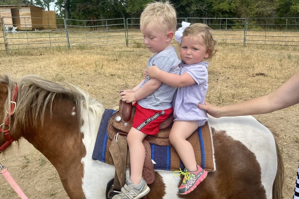 toddlers on pony