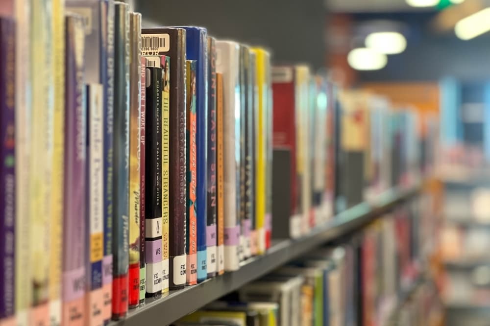 Photo of a row of books on the shelf