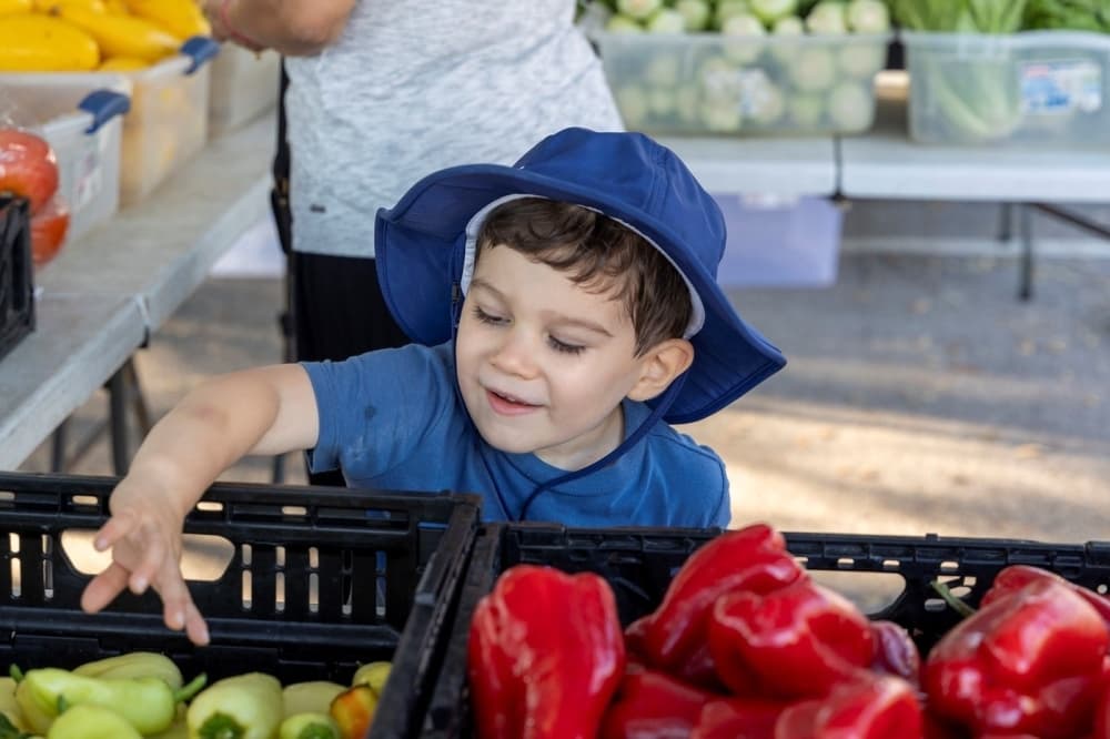 Historic Sugar Land farmers market under new ownership
