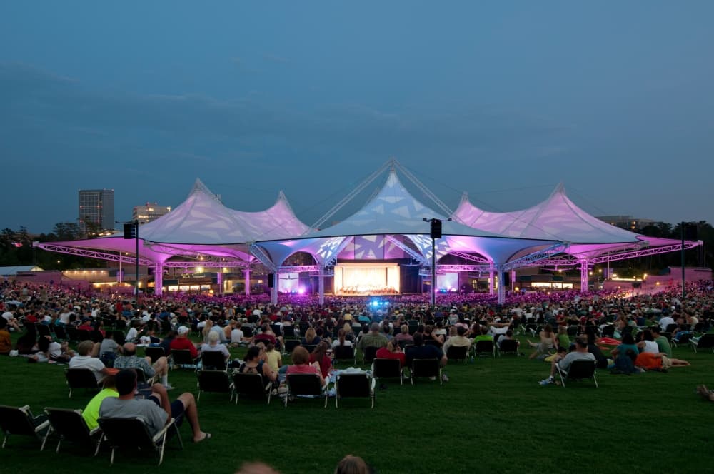 New nonprofit The Woodlands Diversion plans opening performance at Pavilion