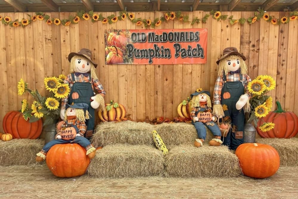 Artisan market, live music: 5 things to do in the Lake Houston area this weekend, Oct. 13-15