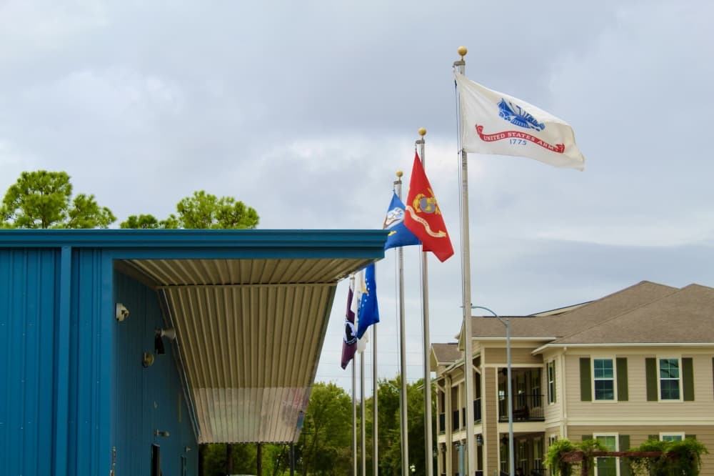 Military flags