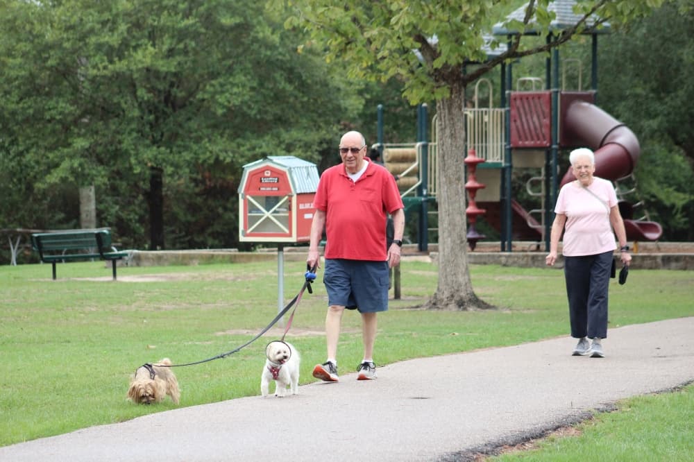 Precinct 3 Master Plan outlines nearly $170M in projects for Spring-area parks, trails