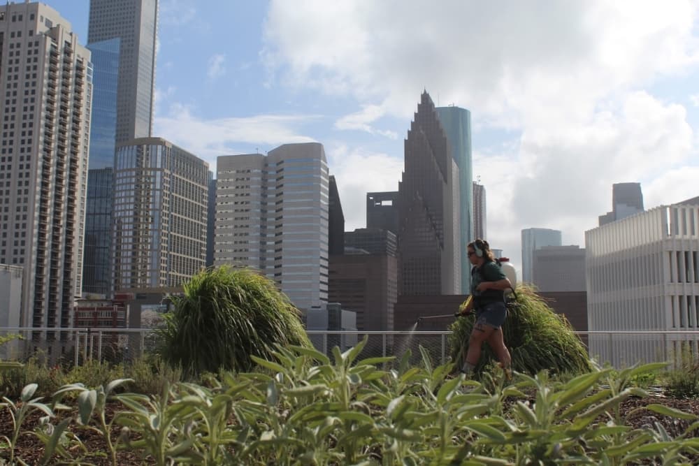 Blackwood Skyfarm connects nature, plants hope for incarcerated youth