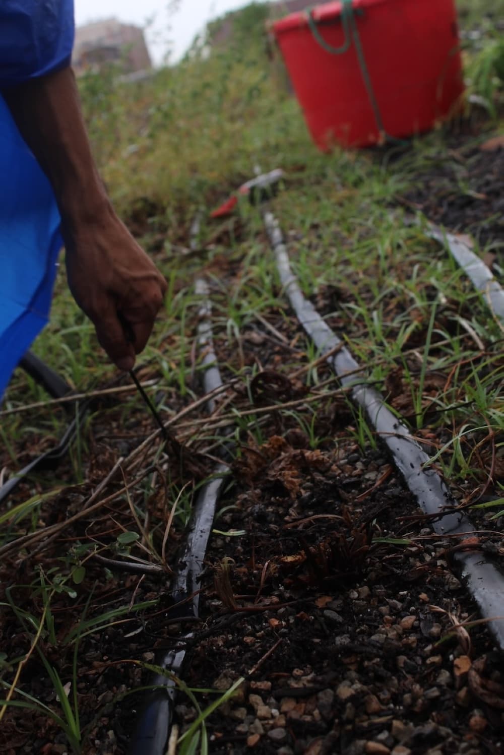 Evaluating the soil after much-needed Houston rains was important for lead farmer Aaron Flores. (Melissa Enaje/Community Impact)