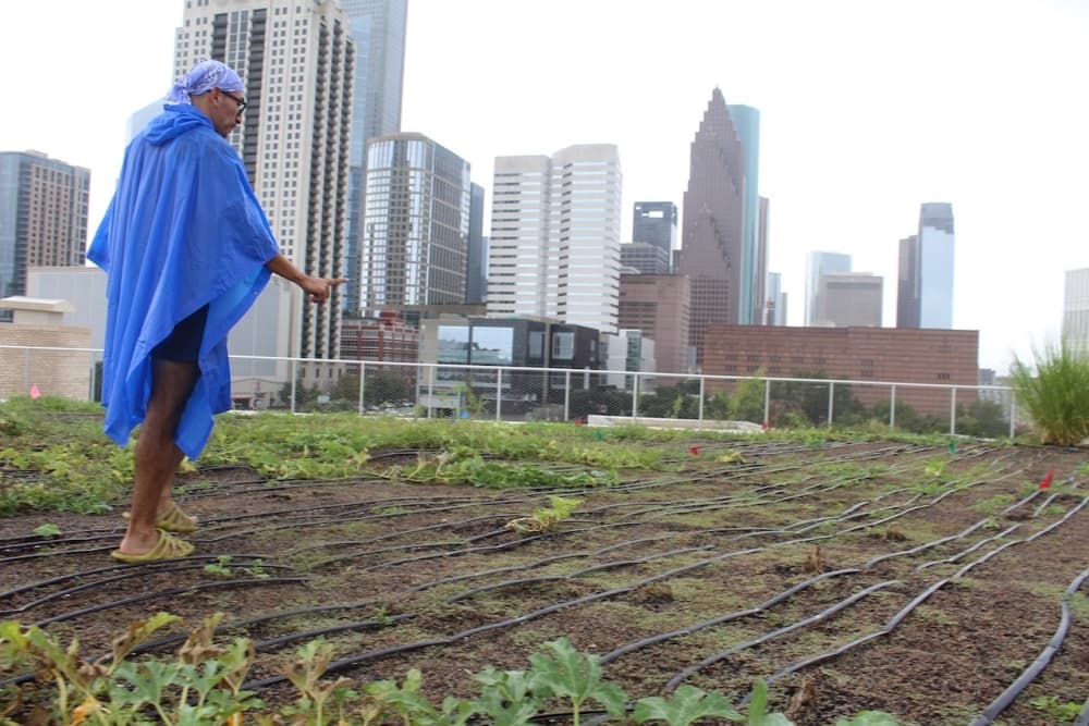Skyfarm rooftop farm