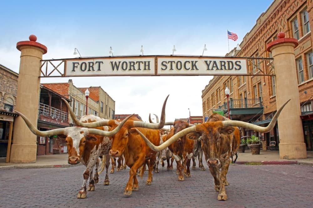 Fort Worth council approves new $630M development in historic Stockyards