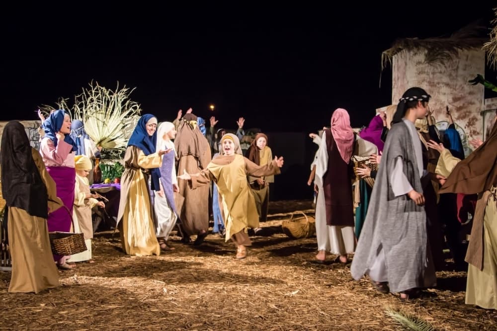 A look at one of the nativity scenes outside at night.