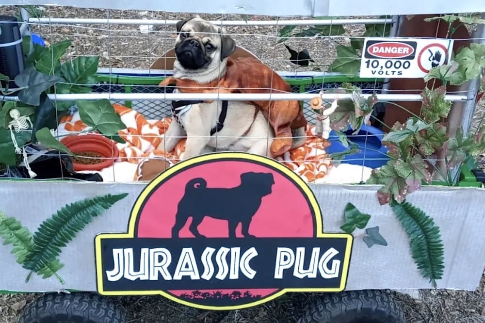 20 things to do around San Antonio on Oct. 20-26