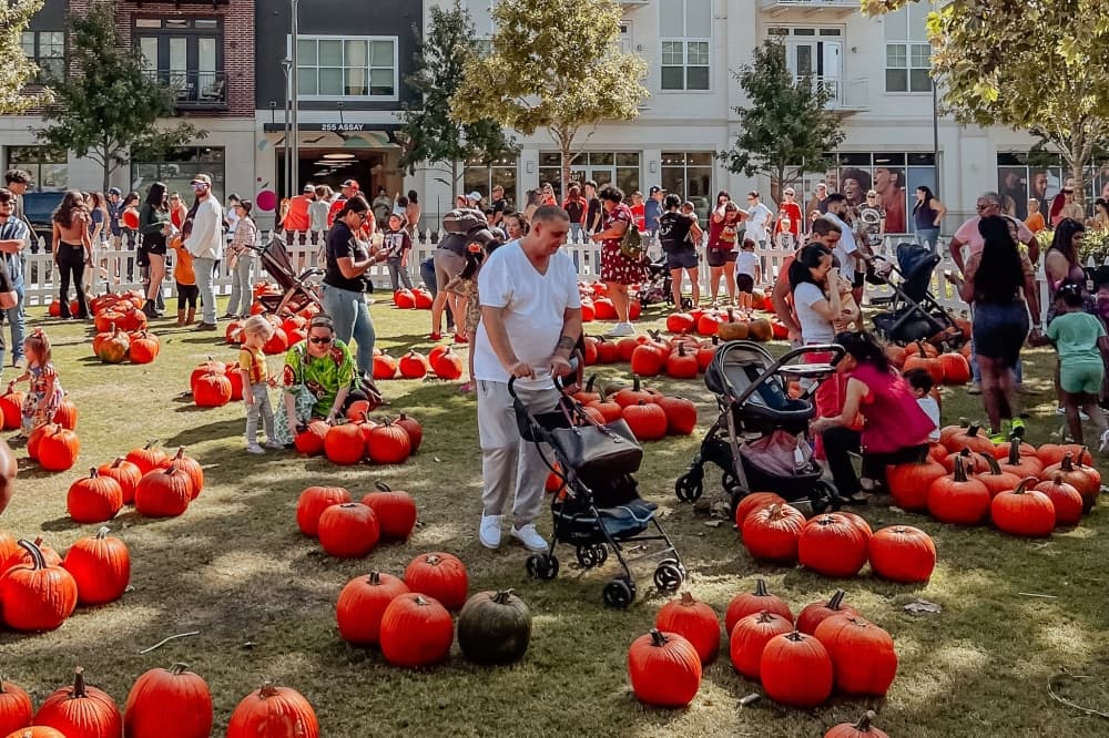Fall fair, OktoberFest: 4 things to do in the Lake Houston area Oct. 20-22