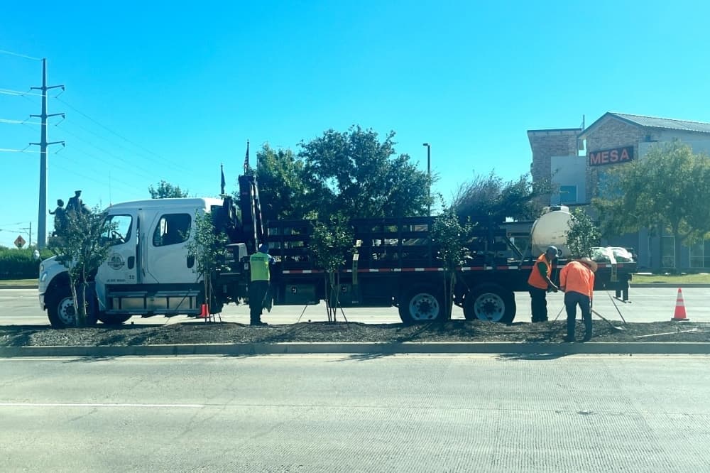 Grapevine to enhance median along entertainment district on SH 26