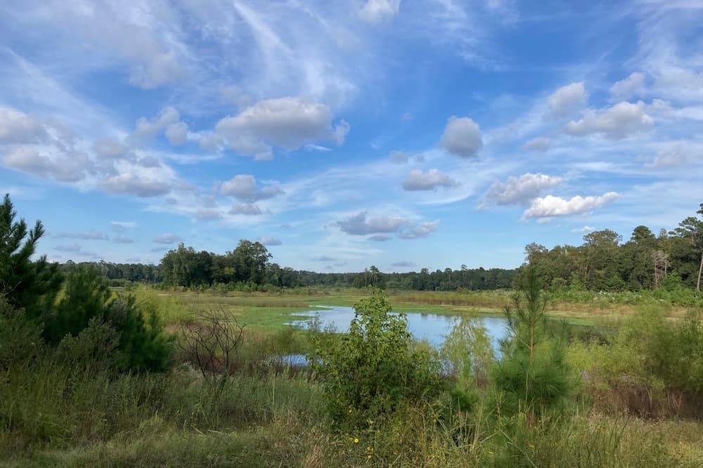 Harris County parks study looks to Spring Creek Greenway expansion
