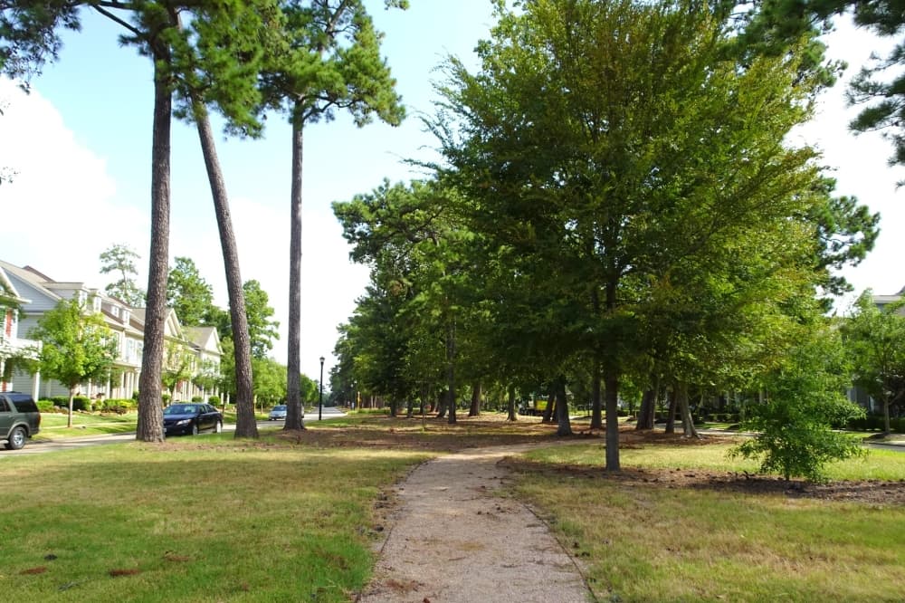 HARC receives $15M to grow trees, careers in Houston, Harris County