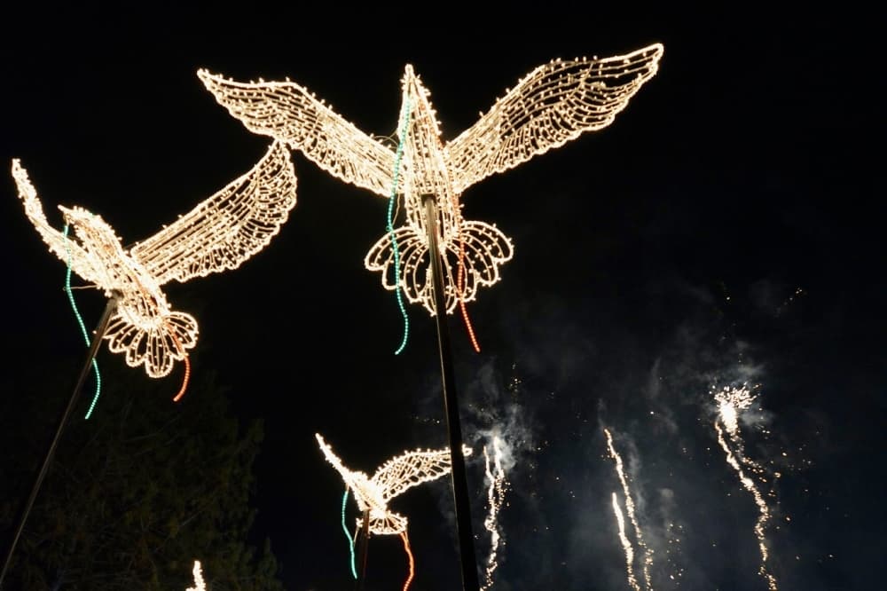 fireworks and doves 
