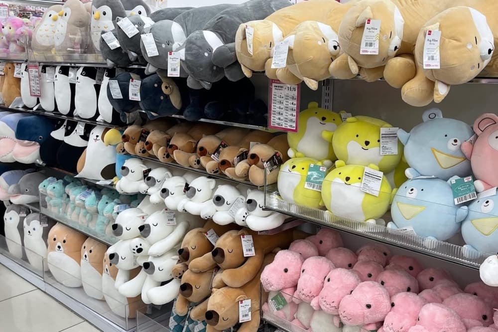 Japanese dollar store Daiso opens 1st Dallas store in Lakewood