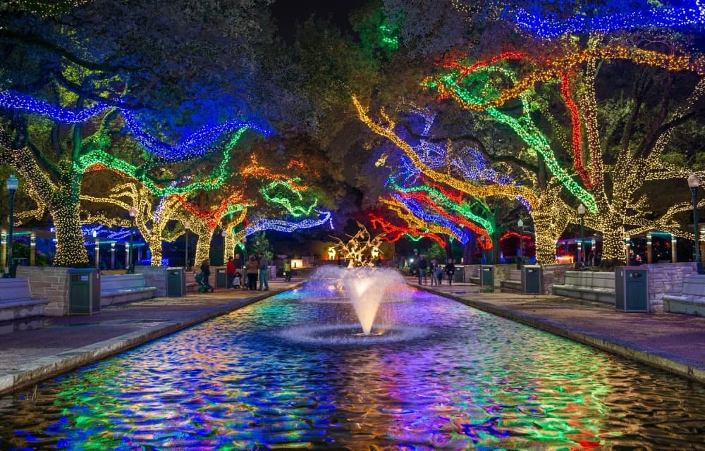 Book festival, zoo lights: 7 events to check out in the local area this November