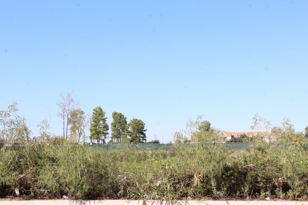 Lively at Cypress Creek to open in Willowbrook area in August