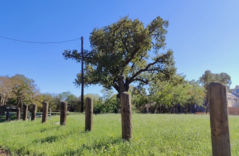 ‘They gutted it:’ Austin officials prepare for state-imposed parkland dedication cuts