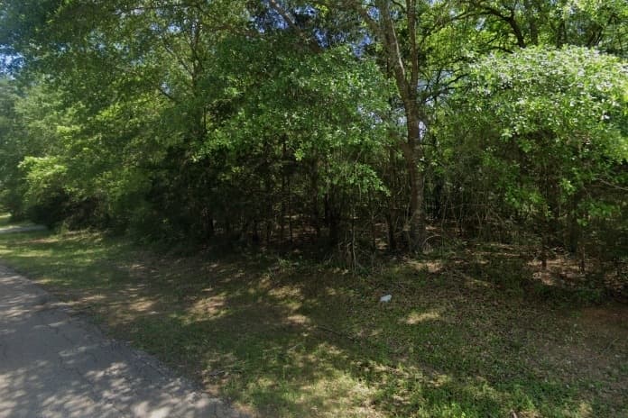 property along a road with trees