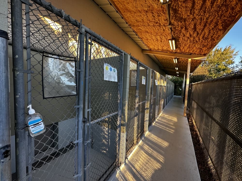 Dog kennels at Bastrop County Animal Shelter.