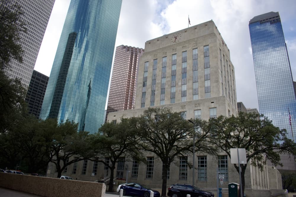 Mary Nan Huffman, Tony Buzbee head to runoff election in Houston's District G race