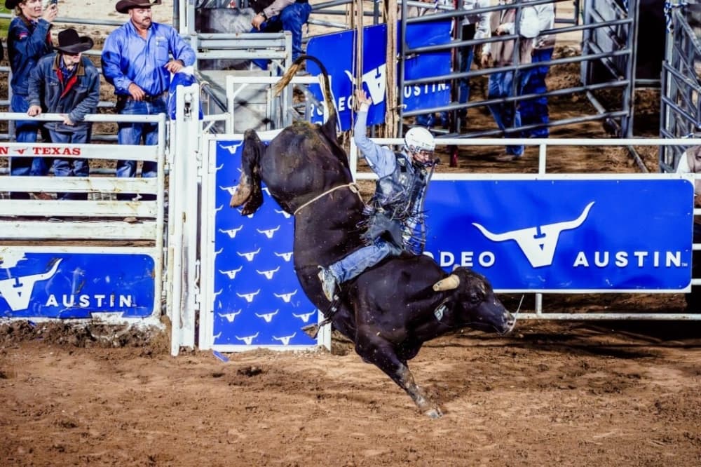 Bulls in Ballpark back for 4th annual rodeo event in Dell Diamond