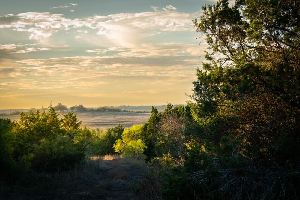 New Braunfels' newest neighborhood: Highland Homes selling 50- and 60-foot homesites in Mayfair neighborhood
