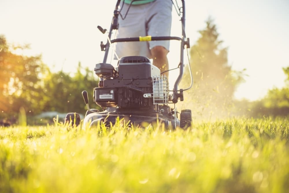 Harris County tops country in gasoline-powered lawn equipment pollution production