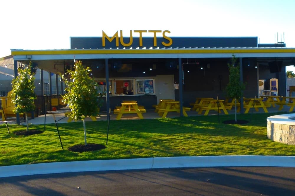 The outside look of the blue and yellow building with green grass and small trees.