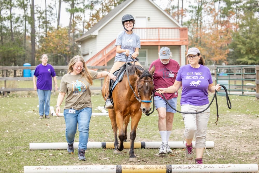volunteers walking with horses