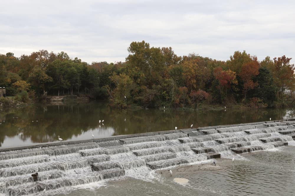 See the recommended 2024 Dallas bond projects for Lake Highlands, Lakewood area