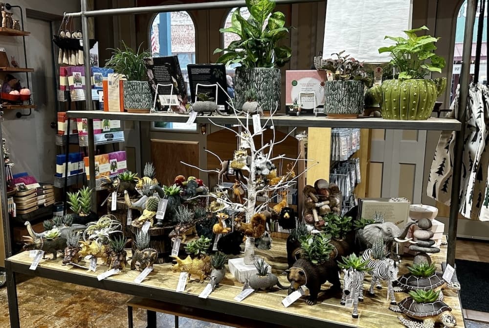 A table holds dinosaur and other animal-shaped planters.