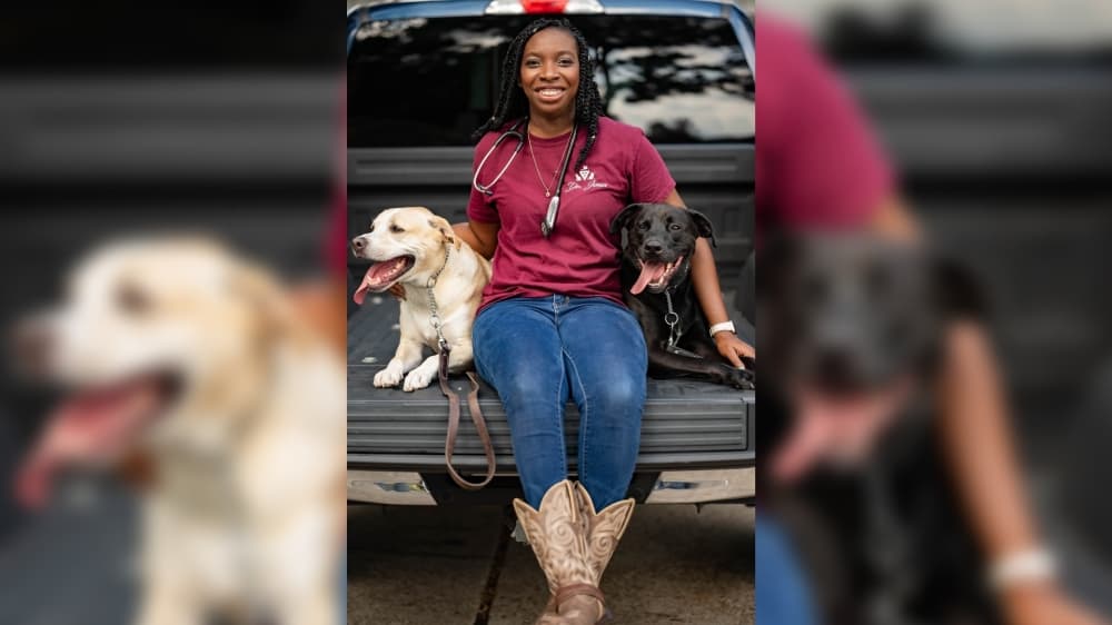 Locally owned PetSmart Veterinary Services to open inside Georgetown store