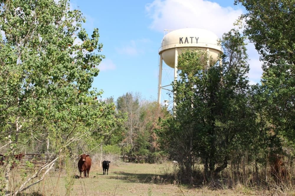 Beckendorff-Sword Home Place marks 101 years in Katy with state award