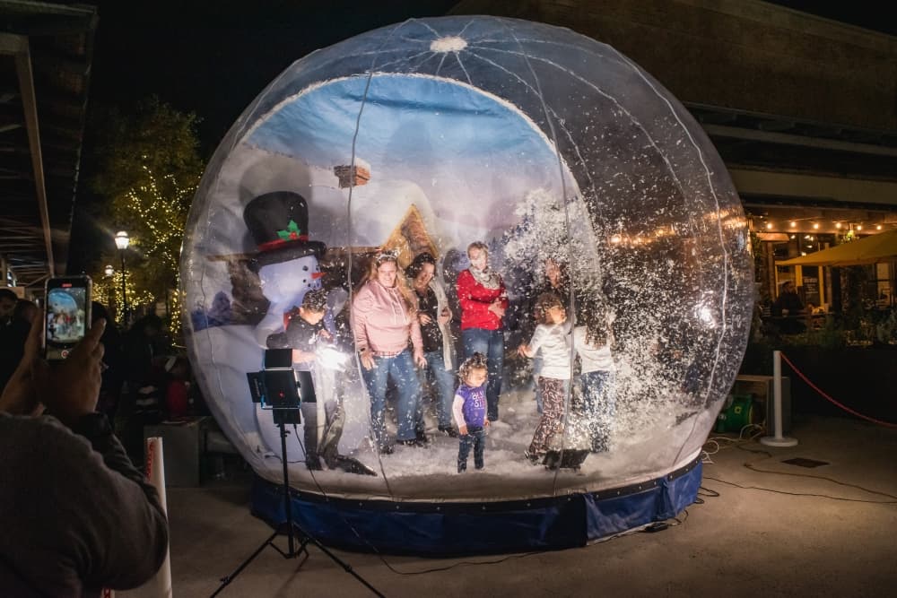10 events to attend in the Greater Houston area this weekend, Nov. 17-19