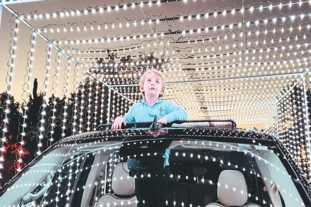12 things to do around San Antonio, Nov. 17-19