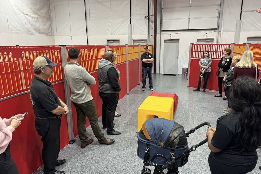 Picture of some dog kennels at a dog care business.