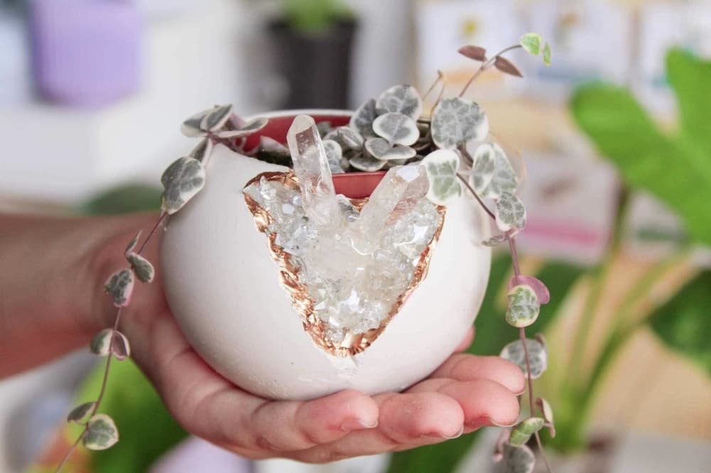 Local plant shop brings handmade items to east Dallas’ Casa Linda Plaza