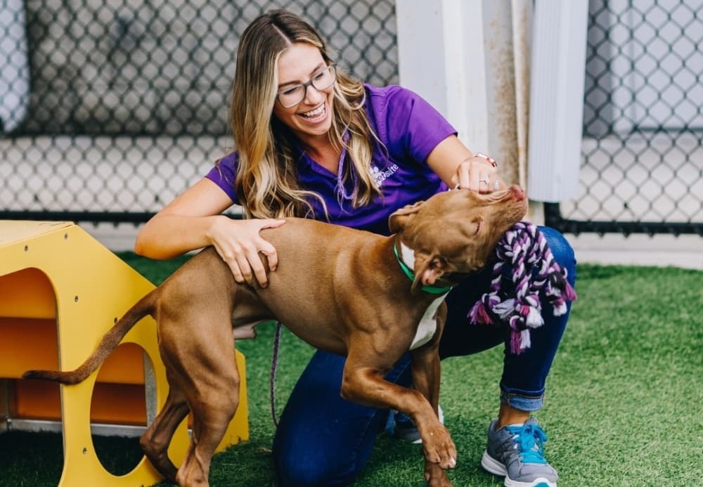 PetSuites of America aims for spring opening in Kingwood
