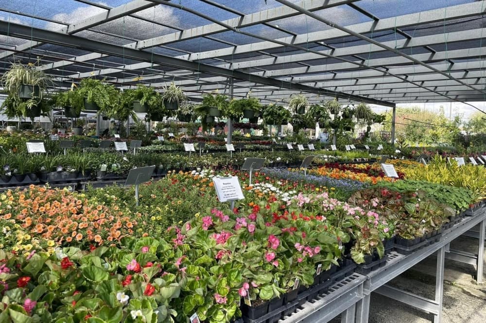 Plants For All Seasons celebrates 50 years in north Houston