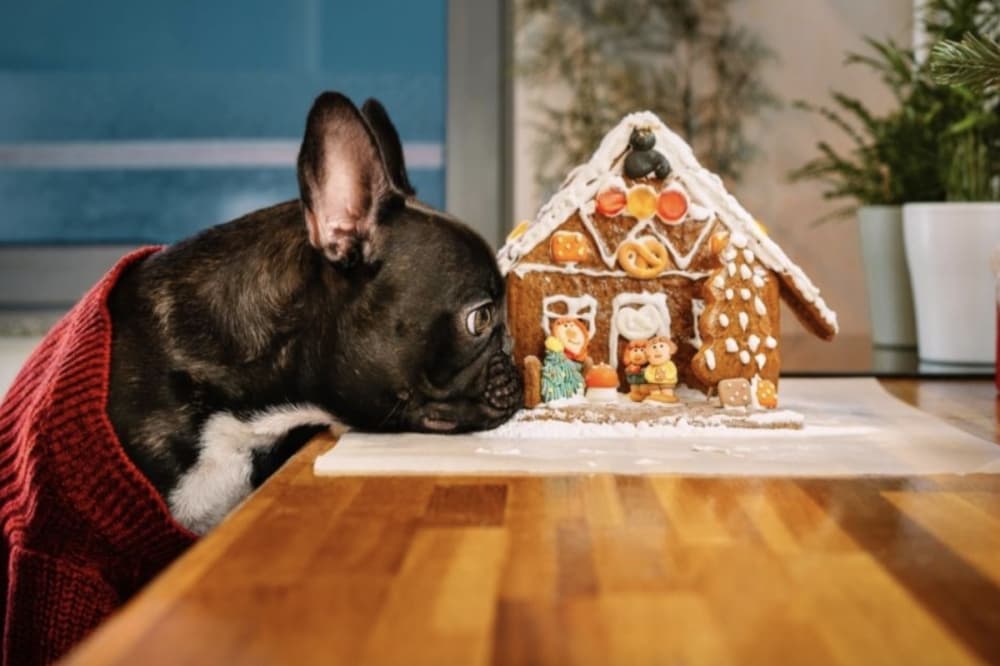Gingerbread doghouses, holiday markets: 6 Spring-area events to attend Dec. 1-5