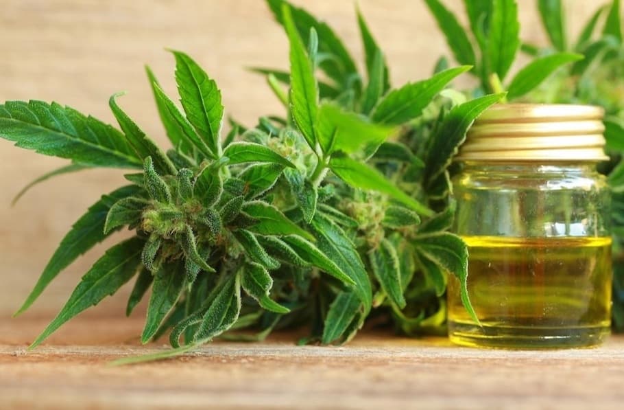 Family-owned CBD store to open in Pflugerville