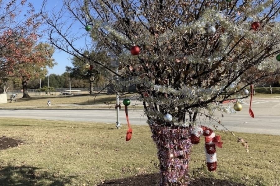 Highland Village residents can participate in tree decoration program