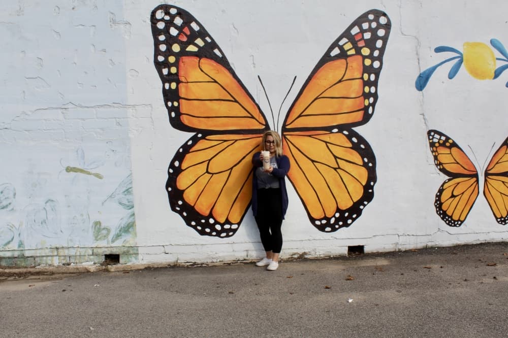 butterfly art