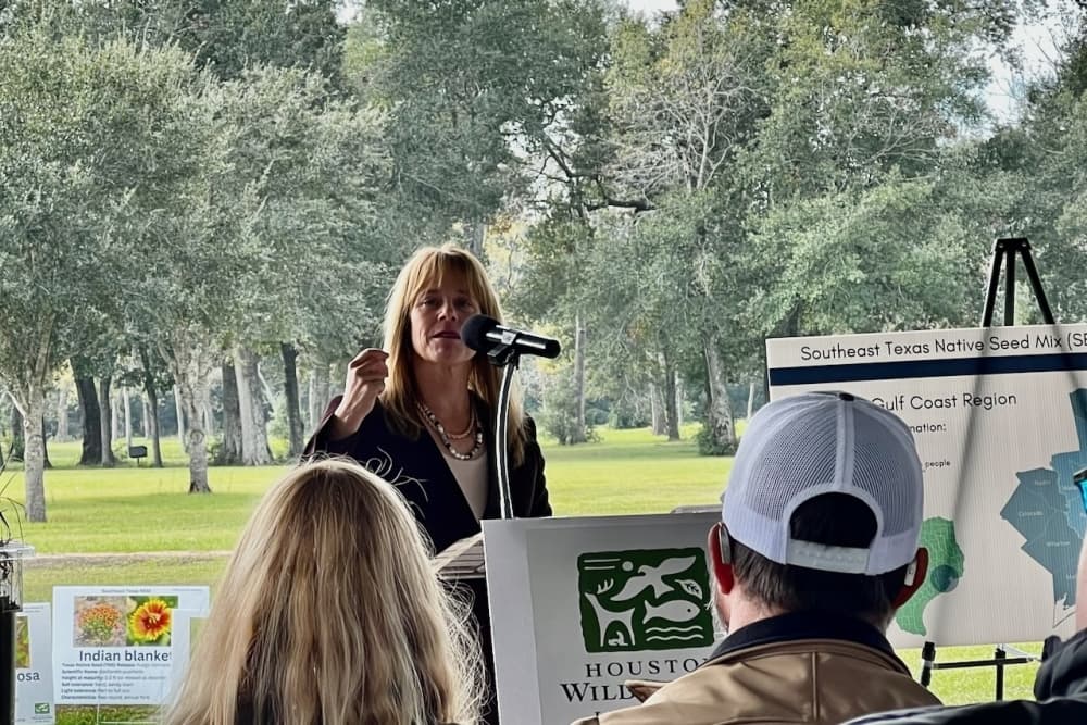 Harris County Flood Control District Executive Director Tina Peterson