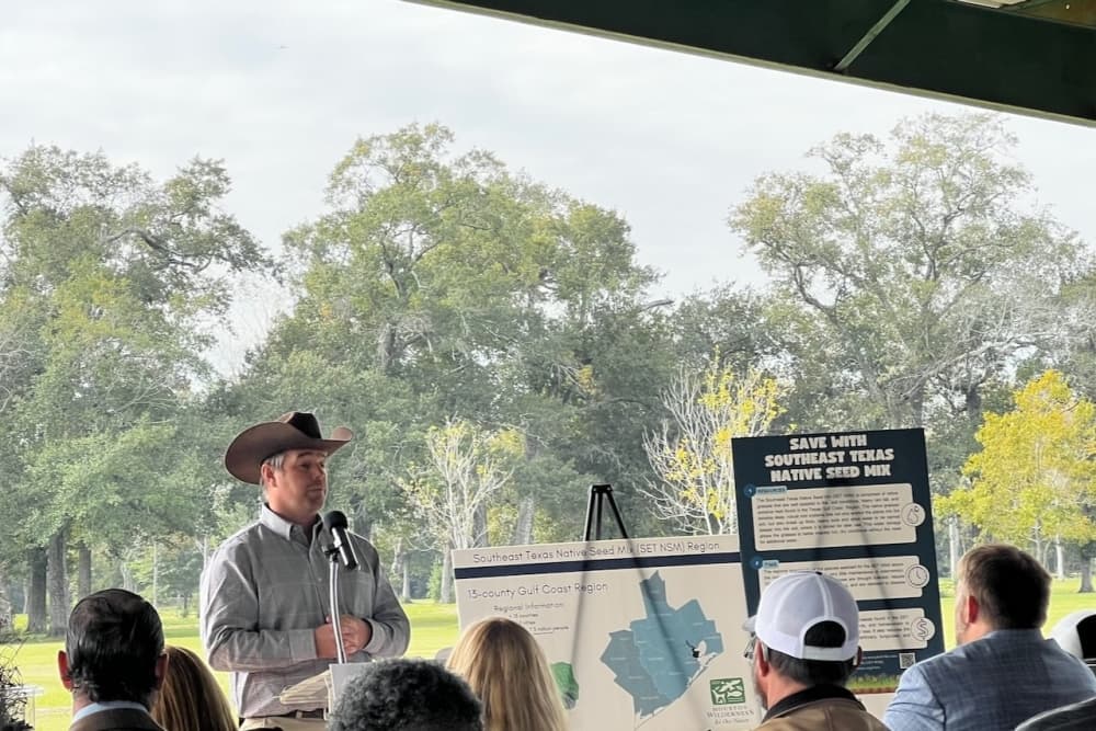 How a native seed mix could reduce storm damage, environmental impacts in Gulf Coast region