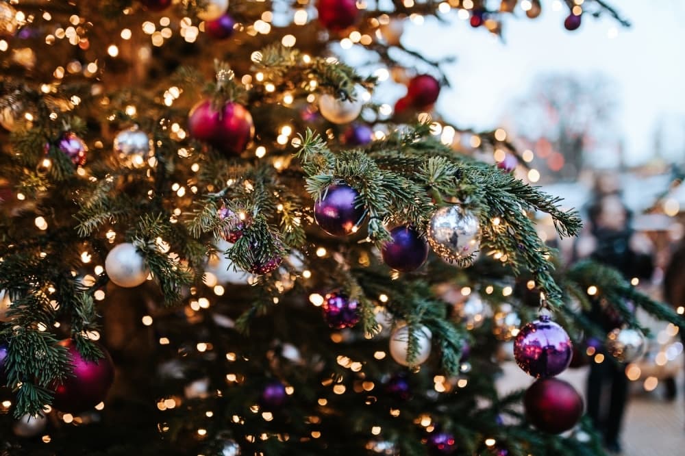 Georgetown offers free holiday recycling program for trees, lights