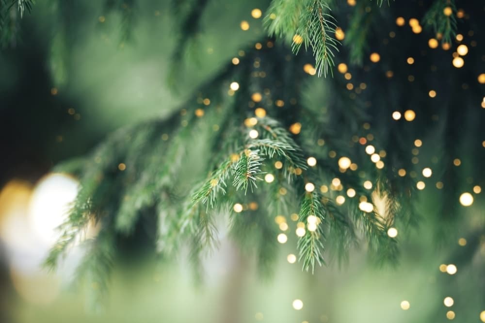 Events happening this weekend in Bastrop, Dec. 8-10