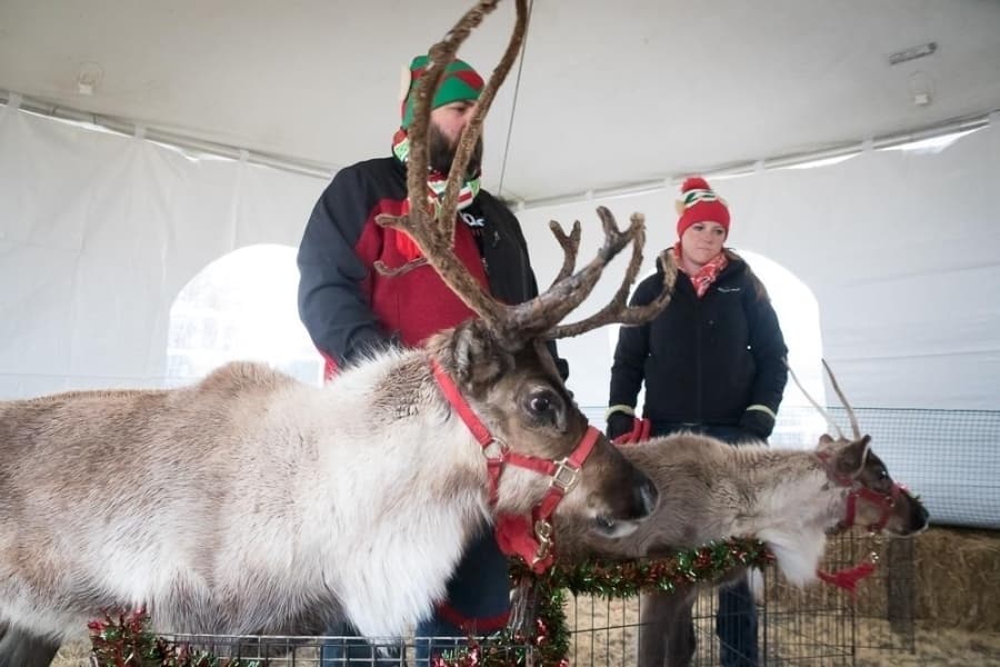 Check out 3 upcoming holiday events in Highland Village