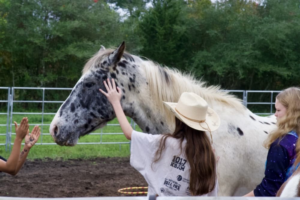 Children pet a horse at Cherokee Outlaw Ranch. 